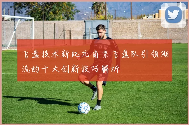 飞盘技术新纪元南京飞盘队引领潮流的十大创新技巧解析