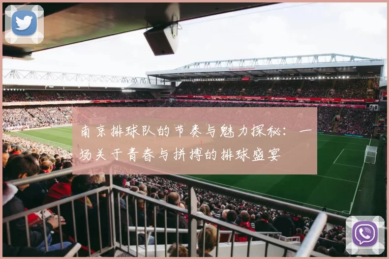 南京排球队的节奏与魅力探秘：一场关于青春与拼搏的排球盛宴