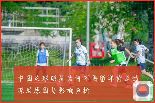 中国足球明星为何不再留洋背后的深层原因与影响分析