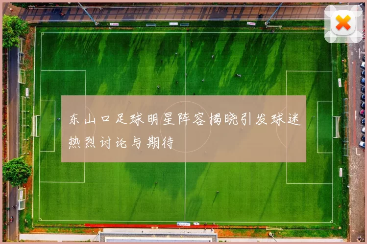 东山口足球明星阵容揭晓引发球迷热烈讨论与期待