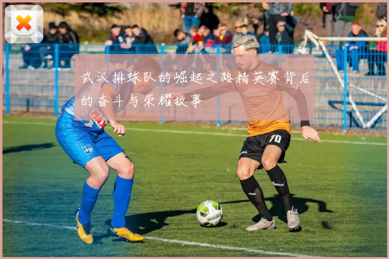 武汉排球队的崛起之路精英赛背后的奋斗与荣耀故事