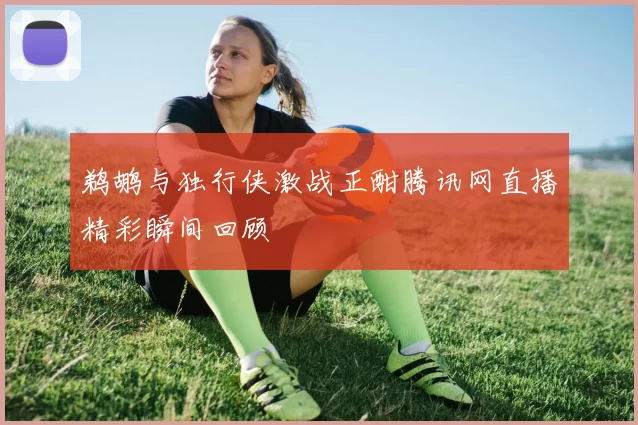 鹈鹕与独行侠激战正酣腾讯网直播精彩瞬间回顾